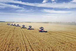 SHP "Pobeda" entered the top ten largest producers of grain crops in Russia